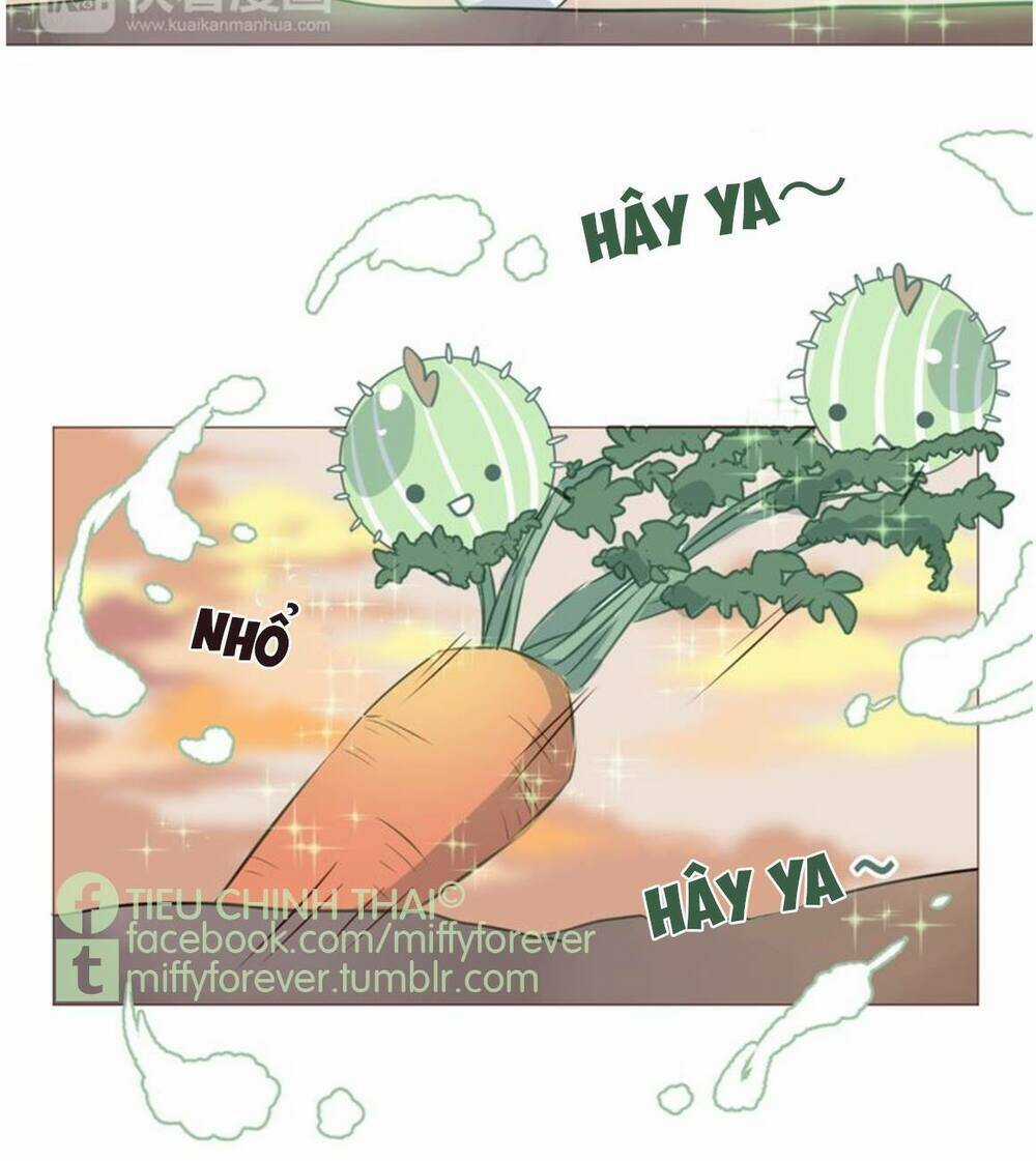 Bạn trai xương rồng Chapter 4 trang 25