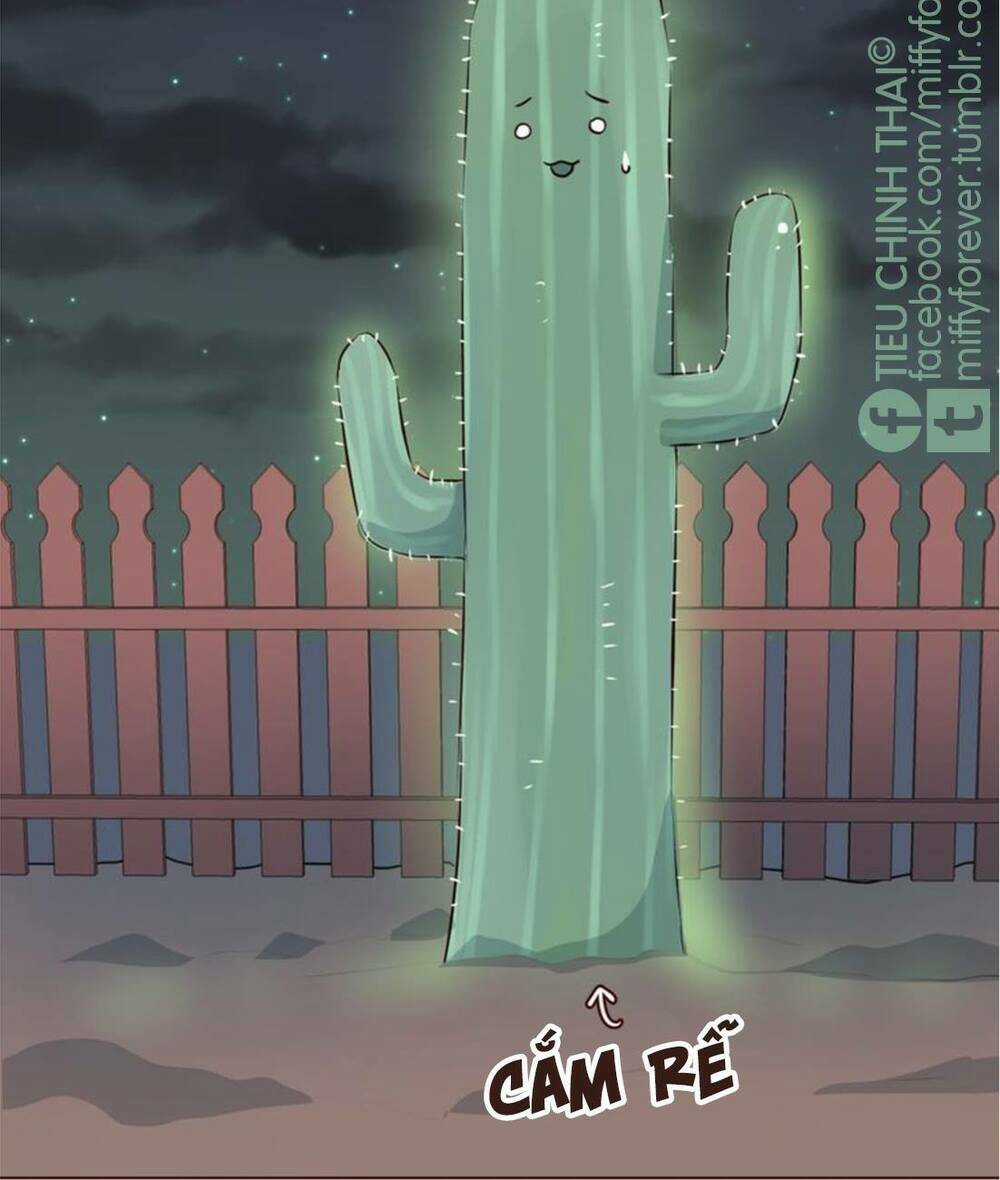 Bạn trai xương rồng Chapter 5 trang 13