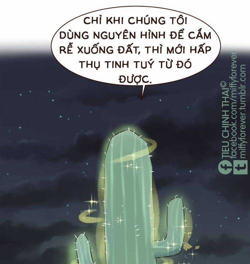 Bạn trai xương rồng Chapter 5 trang 15