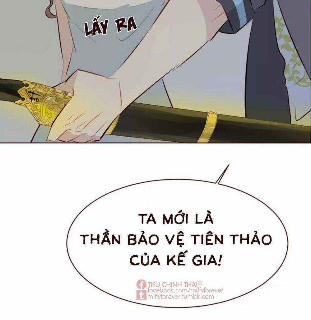 Bạn trai xương rồng Chapter 8 trang 17