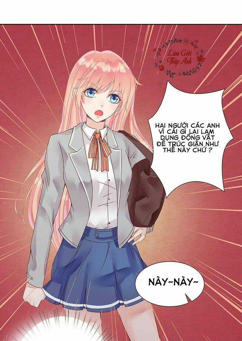 Băng Sơn Học Trưởng Không Được Chọc Chapter 1.1 trang 20