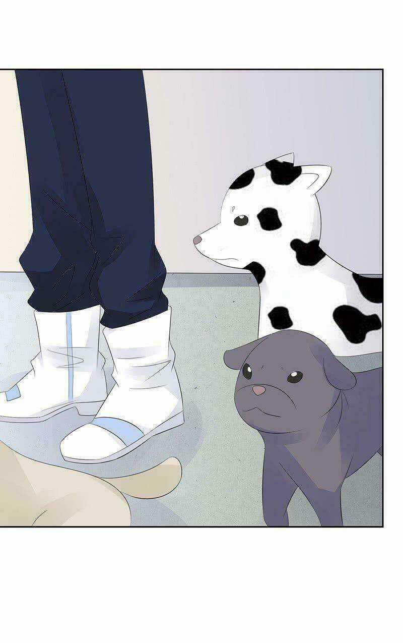 Băng Sơn Học Trưởng Không Được Chọc Chapter 12 trang 30