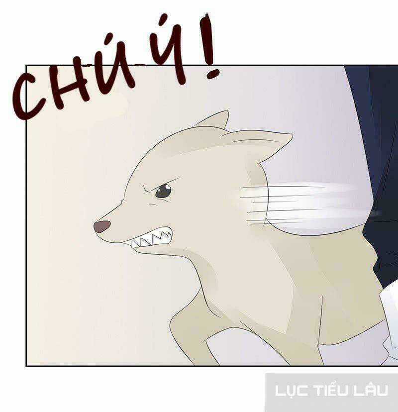 Băng Sơn Học Trưởng Không Được Chọc Chapter 12 trang 31