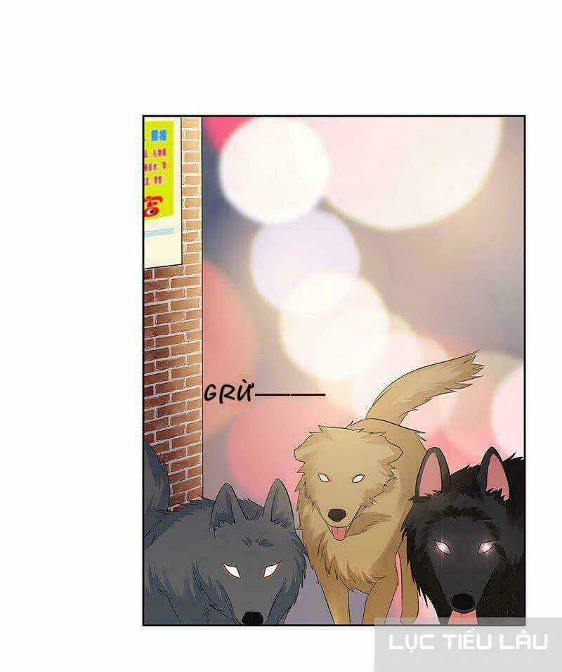 Băng Sơn Học Trưởng Không Được Chọc Chapter 13 trang 13