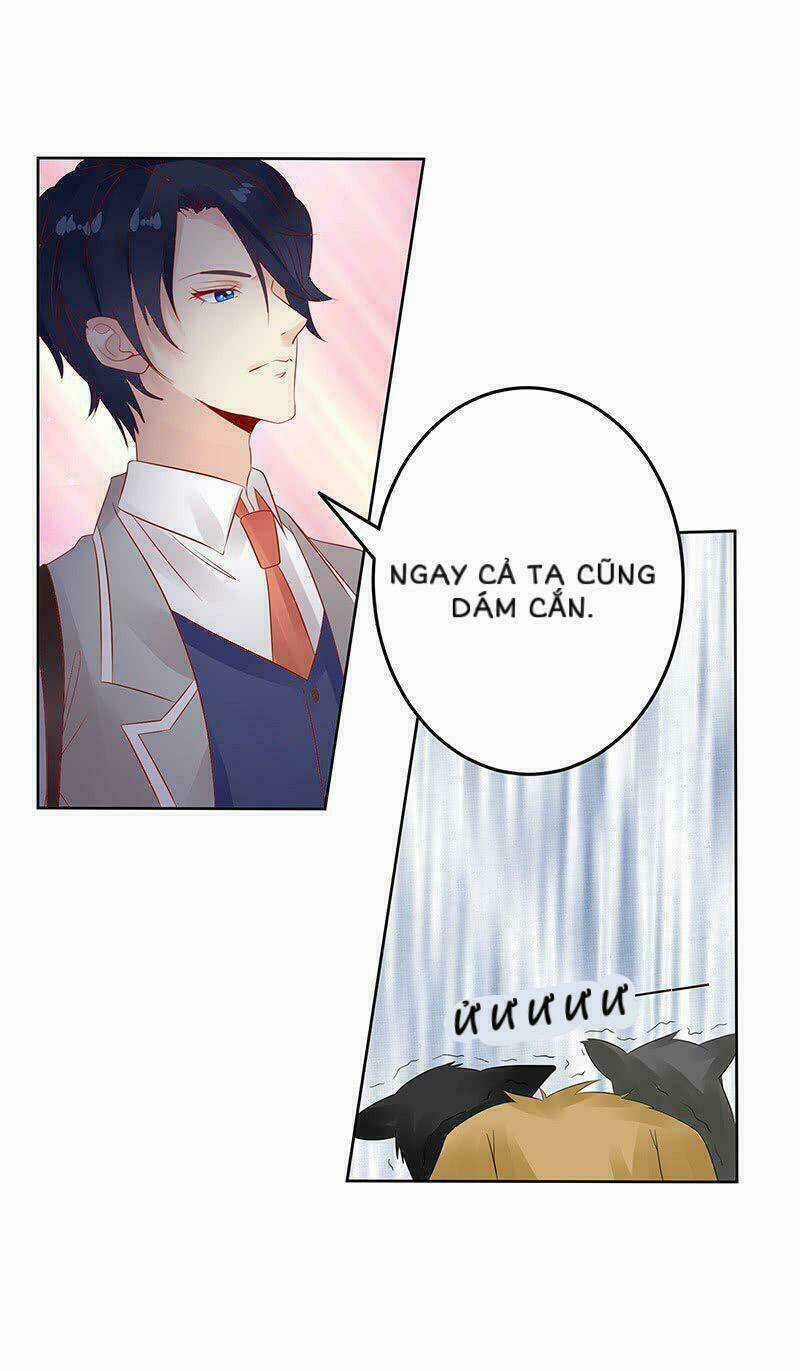 Băng Sơn Học Trưởng Không Được Chọc Chapter 13 trang 24