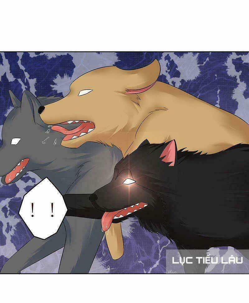 Băng Sơn Học Trưởng Không Được Chọc Chapter 13 trang 3