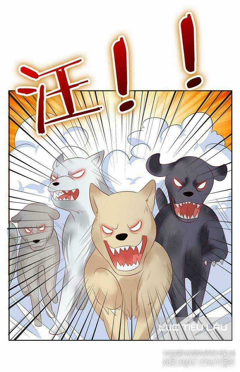 Băng Sơn Học Trưởng Không Được Chọc Chapter 13 trang 49