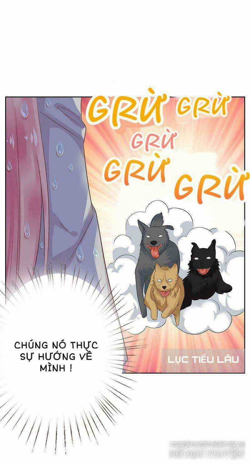 Băng Sơn Học Trưởng Không Được Chọc Chapter 13 trang 5