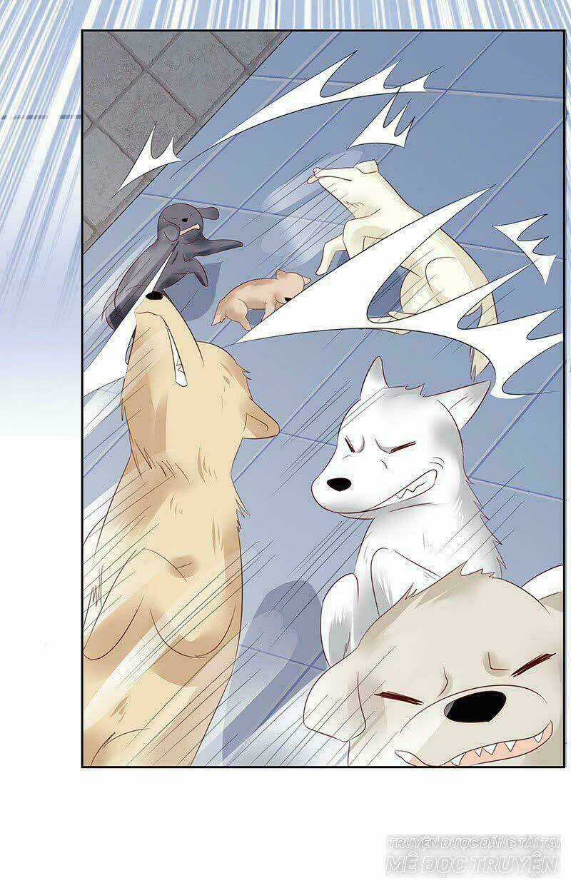 Băng Sơn Học Trưởng Không Được Chọc Chapter 13 trang 55