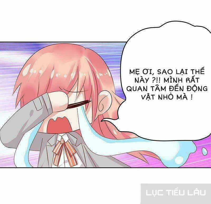 Băng Sơn Học Trưởng Không Được Chọc Chapter 13 trang 9