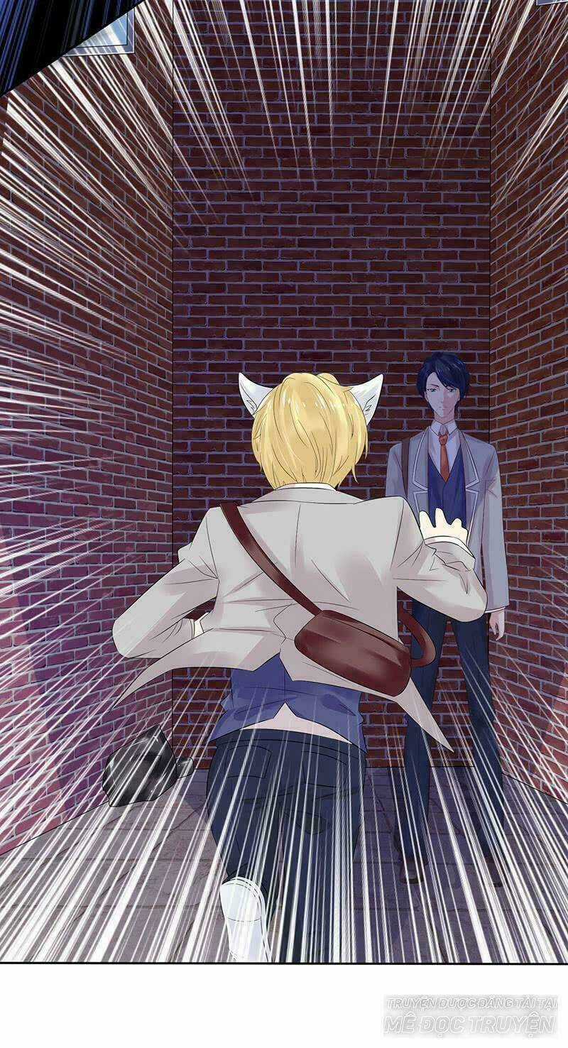 Băng Sơn Học Trưởng Không Được Chọc Chapter 14 trang 15