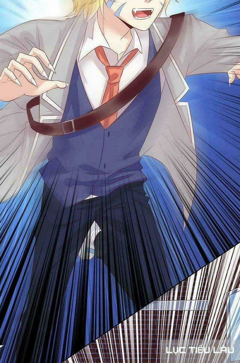 Băng Sơn Học Trưởng Không Được Chọc Chapter 14 trang 17