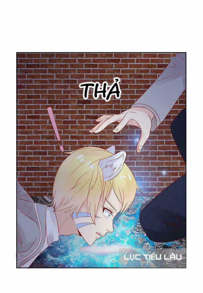 Băng Sơn Học Trưởng Không Được Chọc Chapter 14 trang 23