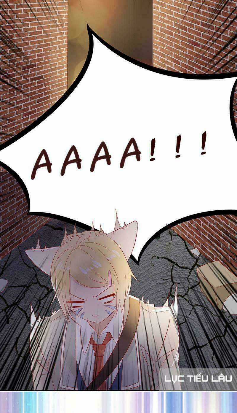 Băng Sơn Học Trưởng Không Được Chọc Chapter 14 trang 29