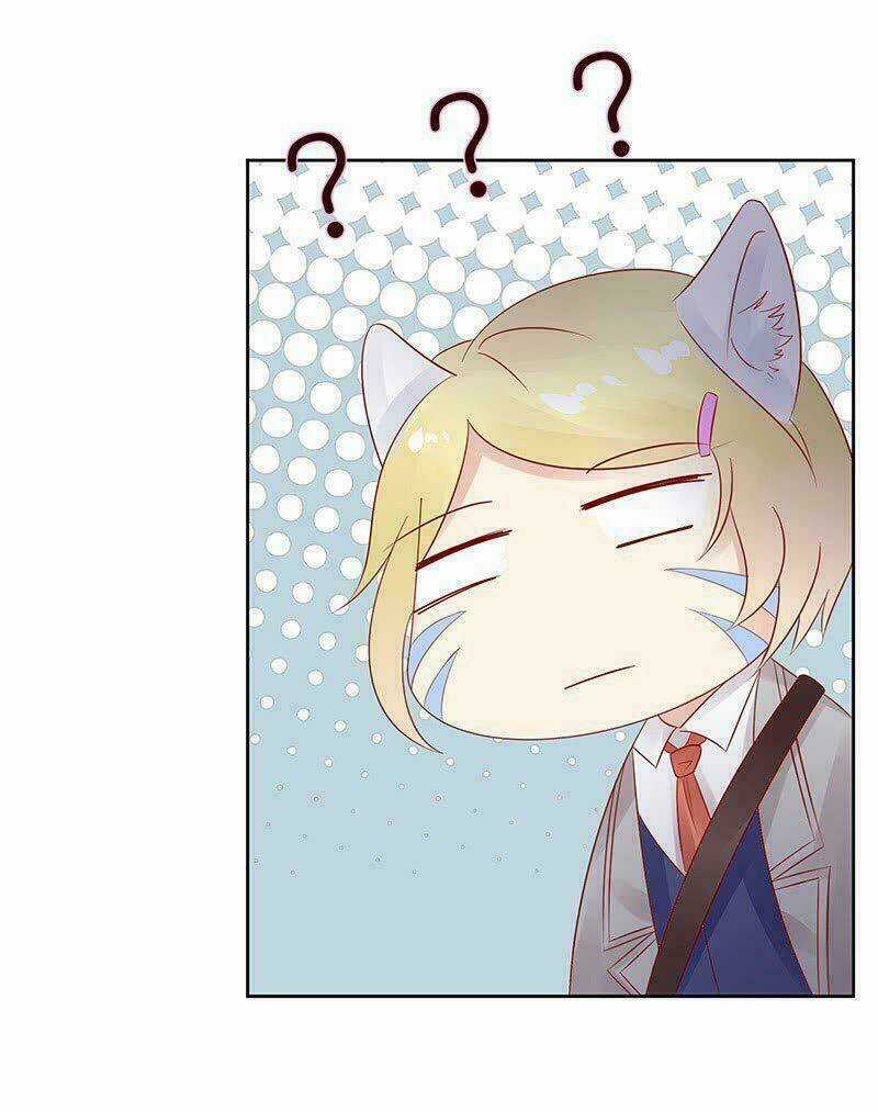 Băng Sơn Học Trưởng Không Được Chọc Chapter 14 trang 33