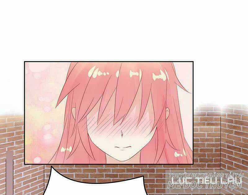 Băng Sơn Học Trưởng Không Được Chọc Chapter 14 trang 5