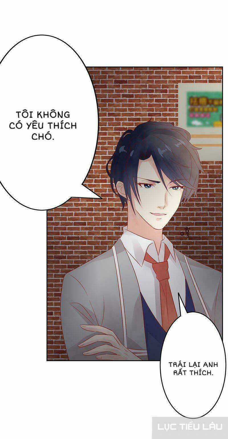 Băng Sơn Học Trưởng Không Được Chọc Chapter 14 trang 9