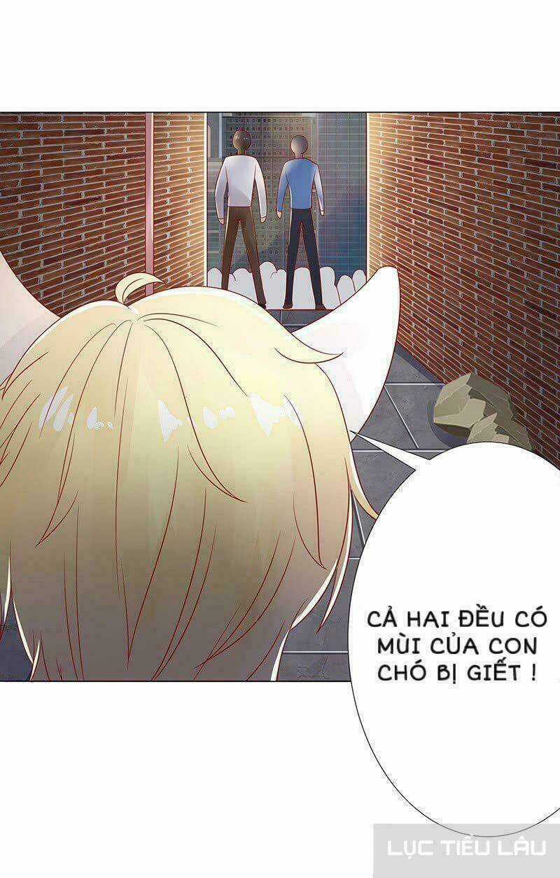 Băng Sơn Học Trưởng Không Được Chọc Chapter 15 trang 21