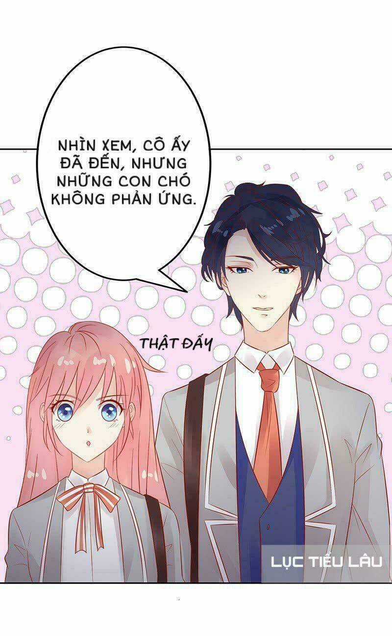 Băng Sơn Học Trưởng Không Được Chọc Chapter 15 trang 29