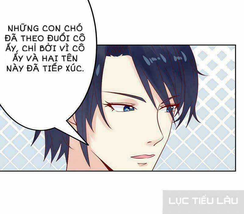 Băng Sơn Học Trưởng Không Được Chọc Chapter 15 trang 31