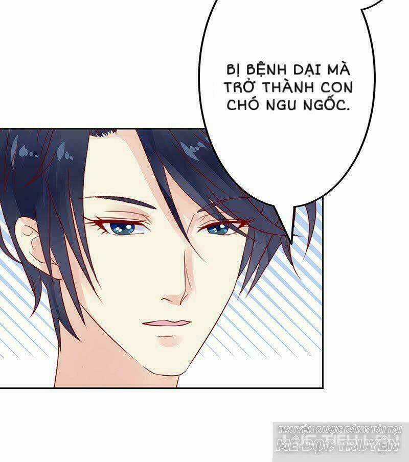 Băng Sơn Học Trưởng Không Được Chọc Chapter 15 trang 40