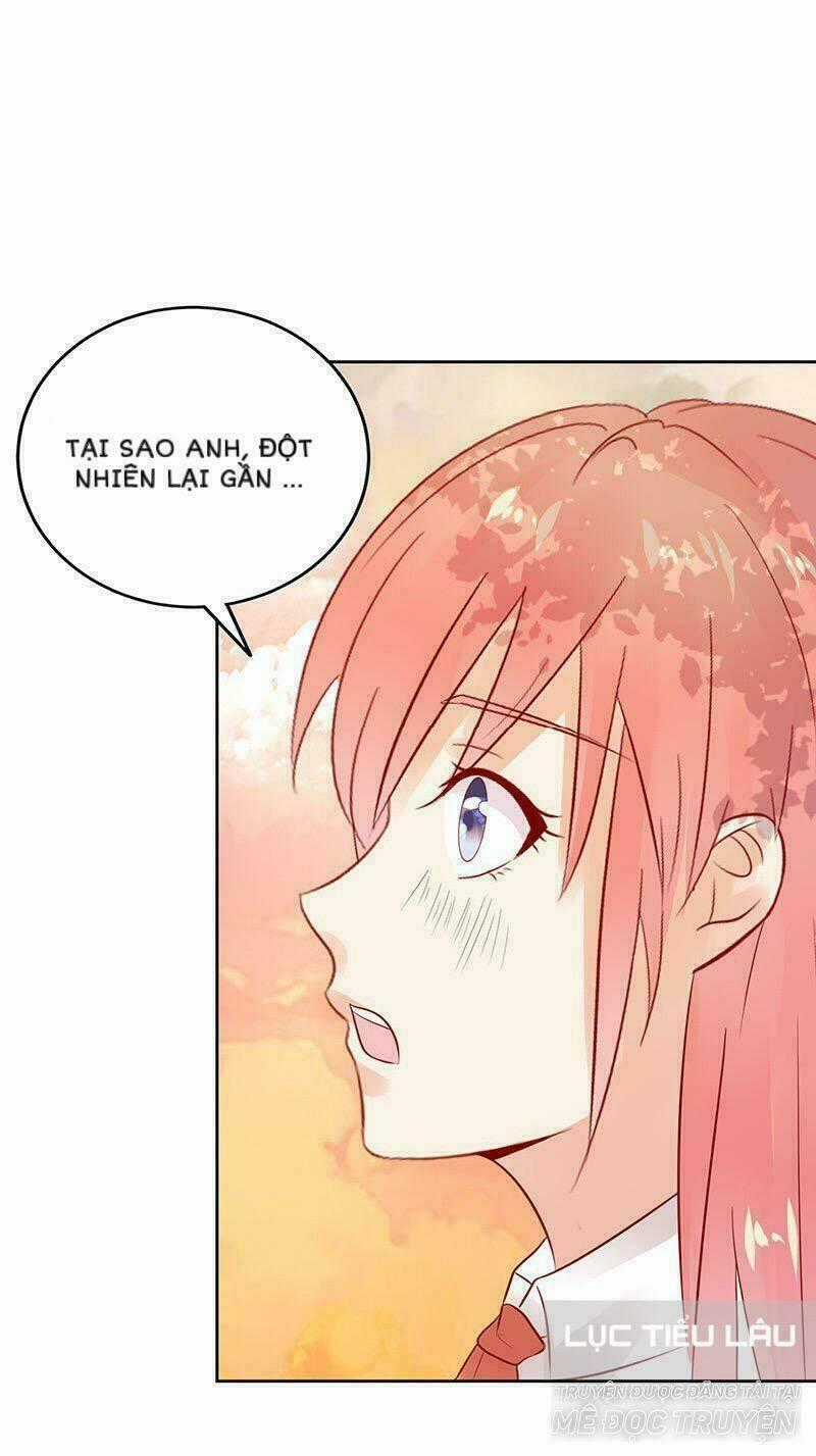 Băng Sơn Học Trưởng Không Được Chọc Chapter 19 trang 1