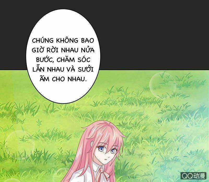 Băng Sơn Học Trưởng Không Được Chọc Chapter 52.1 trang 22