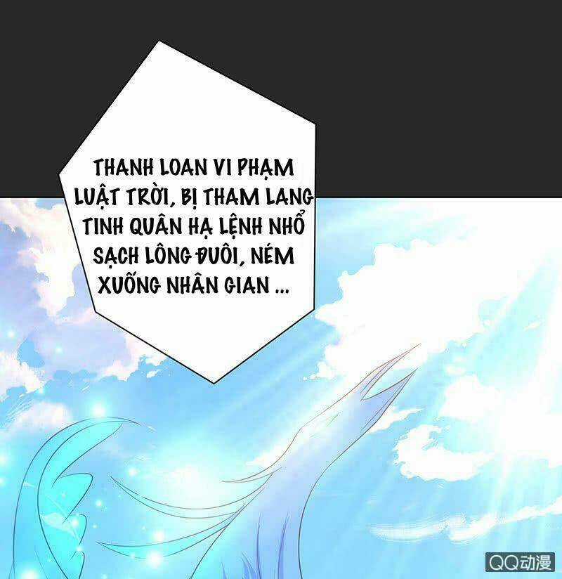 Băng Sơn Học Trưởng Không Được Chọc Chapter 52.2 trang 4