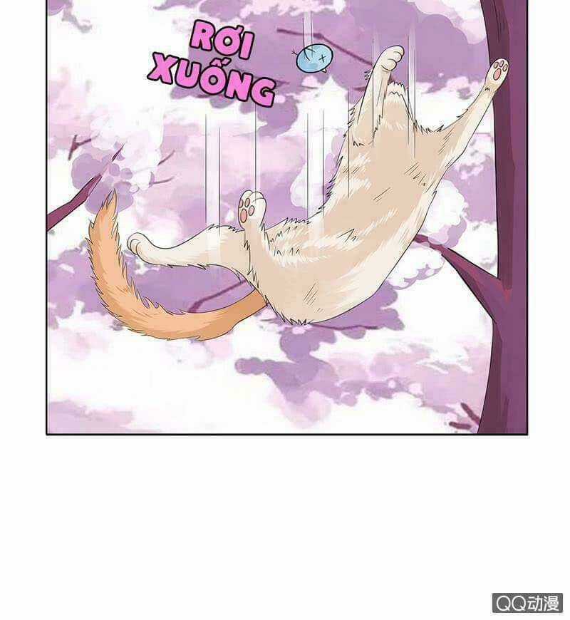 Băng Sơn Học Trưởng Không Được Chọc Chapter 53.1 trang 11