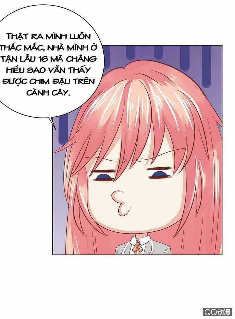 Băng Sơn Học Trưởng Không Được Chọc Chapter 53.1 trang 14