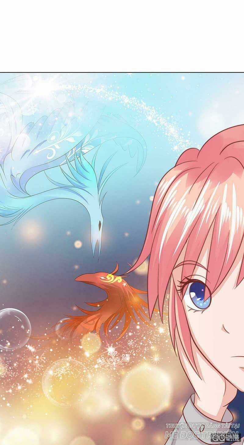 Băng Sơn Học Trưởng Không Được Chọc Chapter 53.1 trang 5