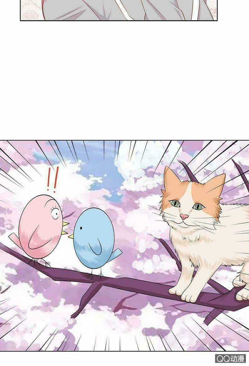 Băng Sơn Học Trưởng Không Được Chọc Chapter 53.1 trang 7