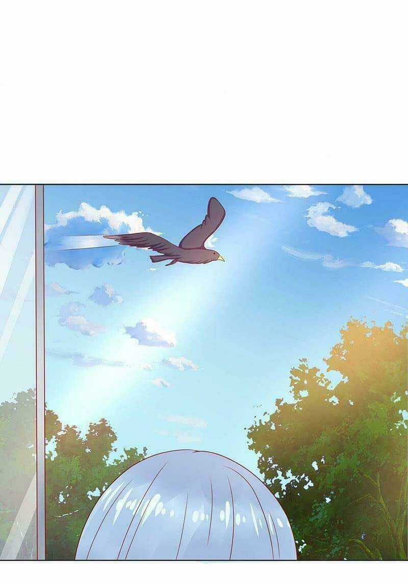 Băng Sơn Học Trưởng Không Được Chọc Chapter 57.1 trang 5