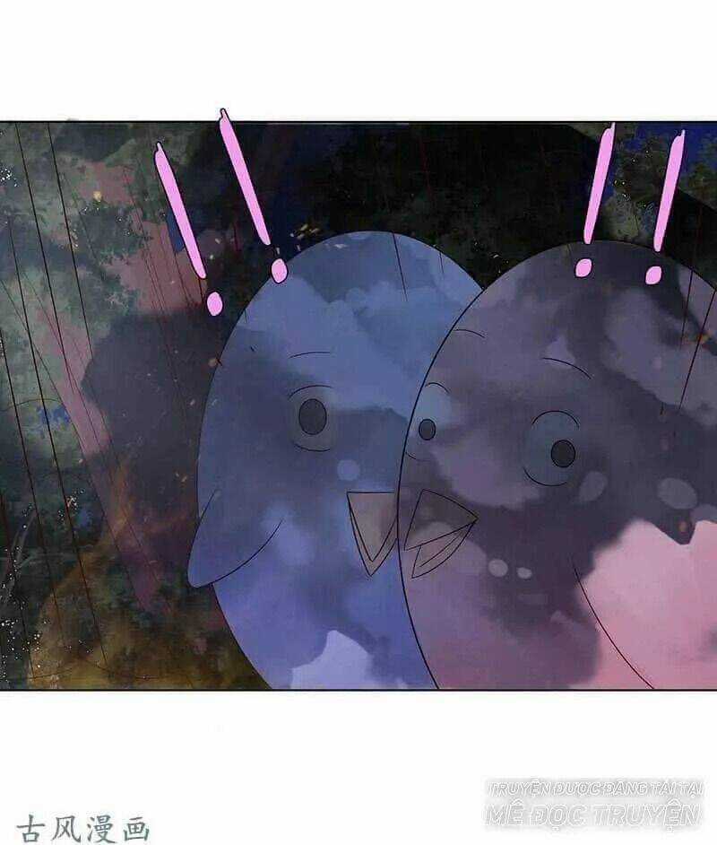 Băng Sơn Học Trưởng Không Được Chọc Chapter 59.2 trang 5