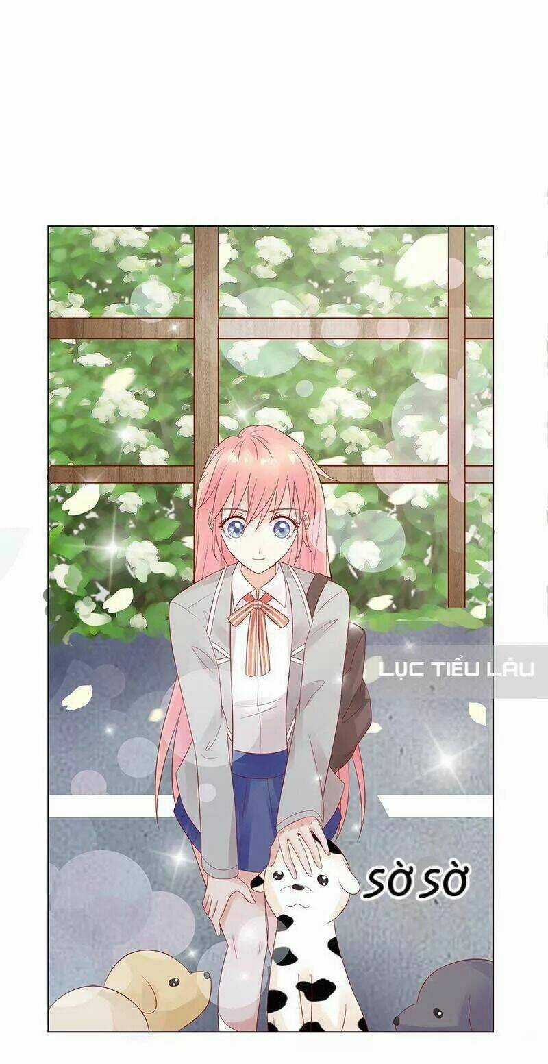 Băng Sơn Học Trưởng Không Được Chọc Chapter 8 trang 40