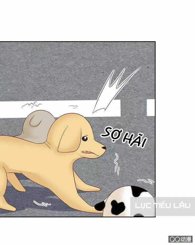 Băng Sơn Học Trưởng Không Được Chọc Chapter 9 trang 6