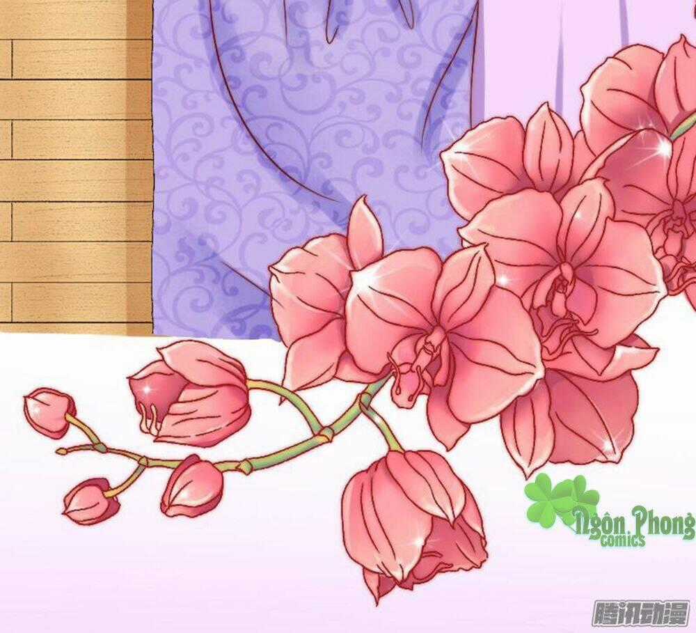 Băng Sơn Tổng Tài Cường Sủng Thê Chapter 3 trang 1
