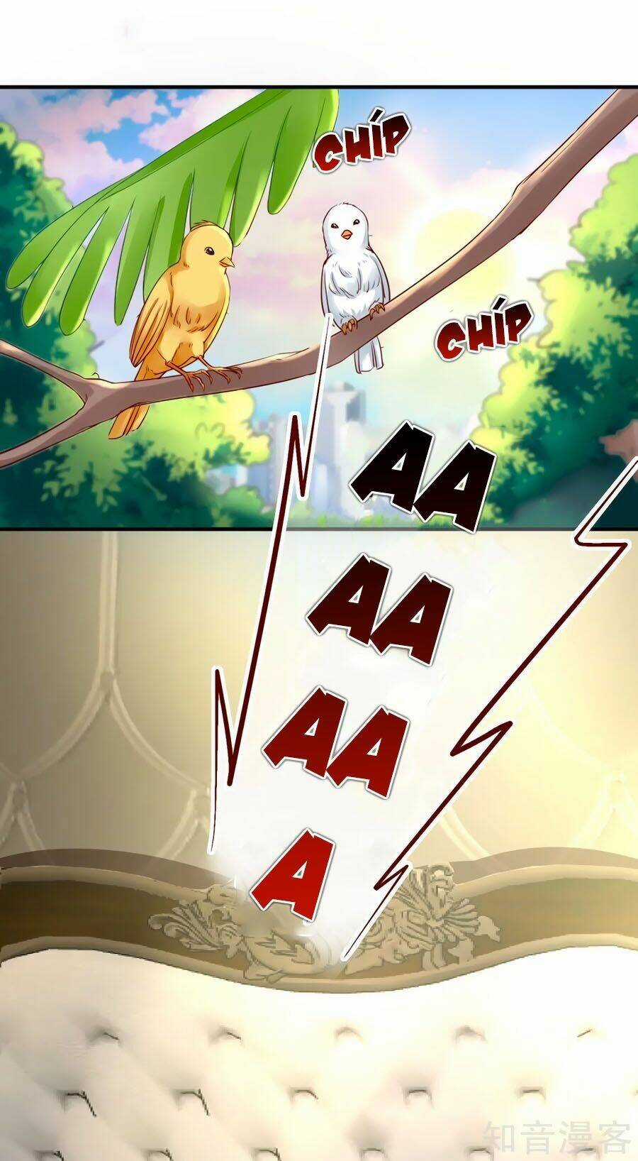 Băng Sơn Tổng Tài Sủng Thê Đến Vô Đạo Chapter 14 trang 24