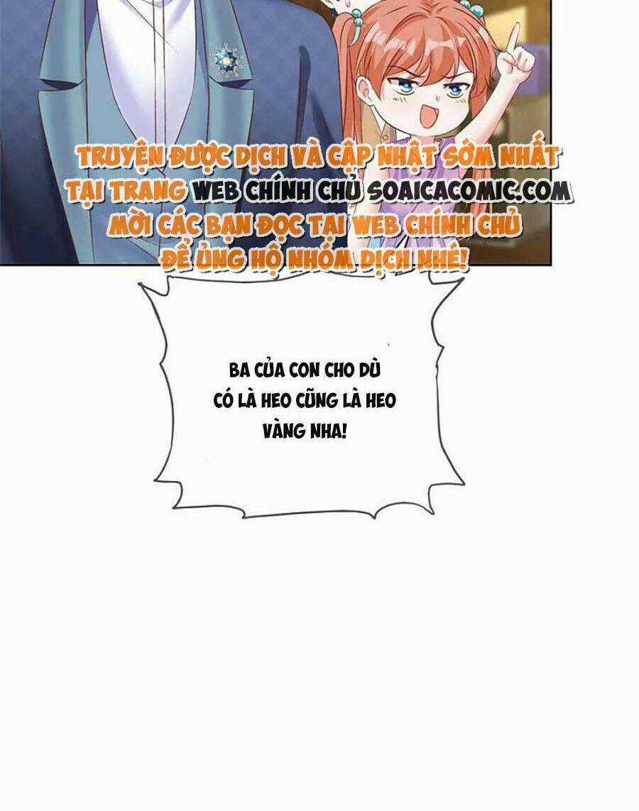 Băng Sơn Tổng Tài Sủng Thê Đến Vô Đạo Chapter 255 trang 5