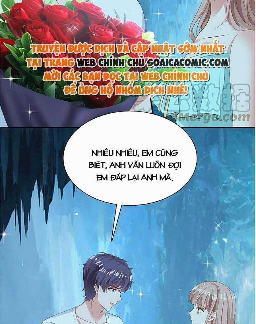 Băng Sơn Tổng Tài Sủng Thê Đến Vô Đạo Chapter 256 trang 4