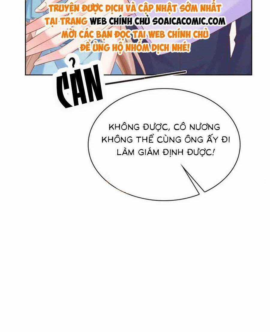 Băng Sơn Tổng Tài Sủng Thê Đến Vô Đạo Chapter 266 trang 19