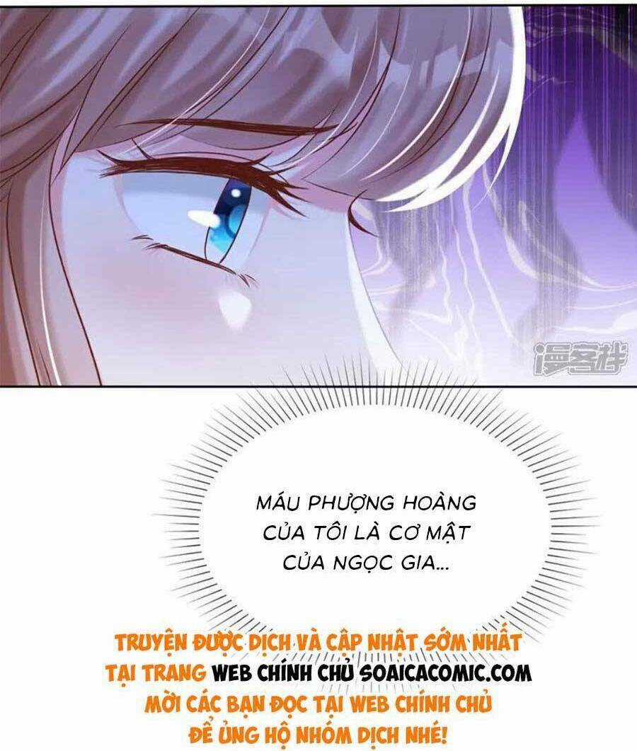 Băng Sơn Tổng Tài Sủng Thê Đến Vô Đạo Chapter 266 trang 24