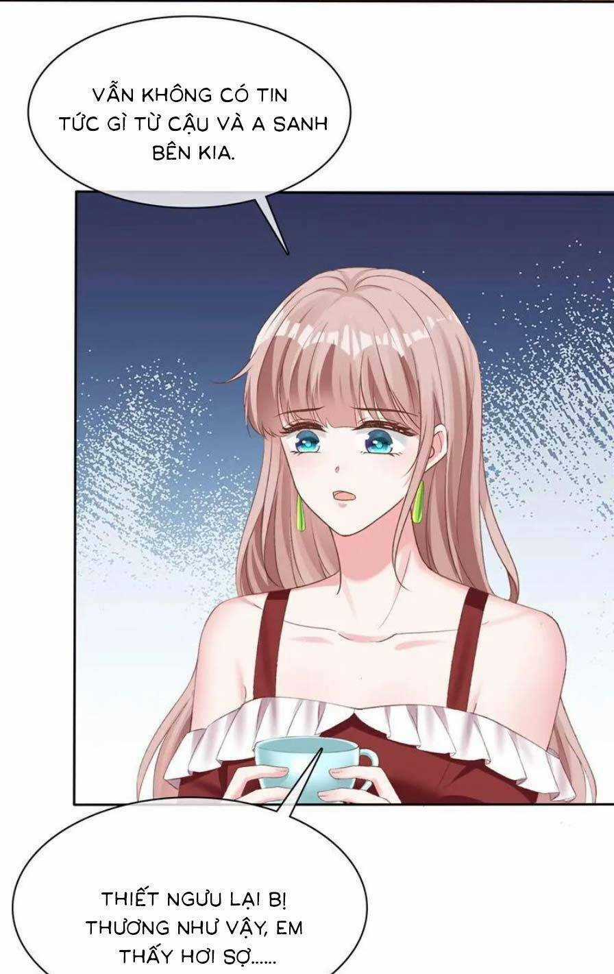 Băng Sơn Tổng Tài Sủng Thê Đến Vô Đạo Chapter 267 trang 14