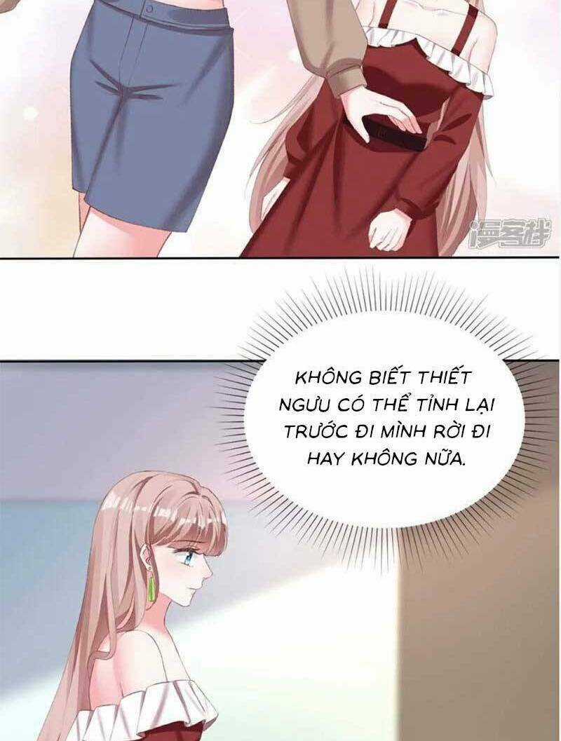 Băng Sơn Tổng Tài Sủng Thê Đến Vô Đạo Chapter 268 trang 16