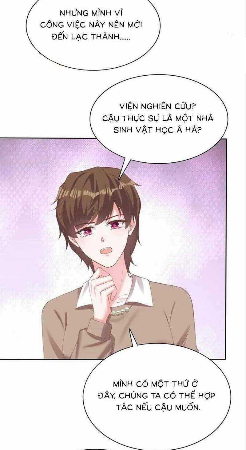 Băng Sơn Tổng Tài Sủng Thê Đến Vô Đạo Chapter 268 trang 3