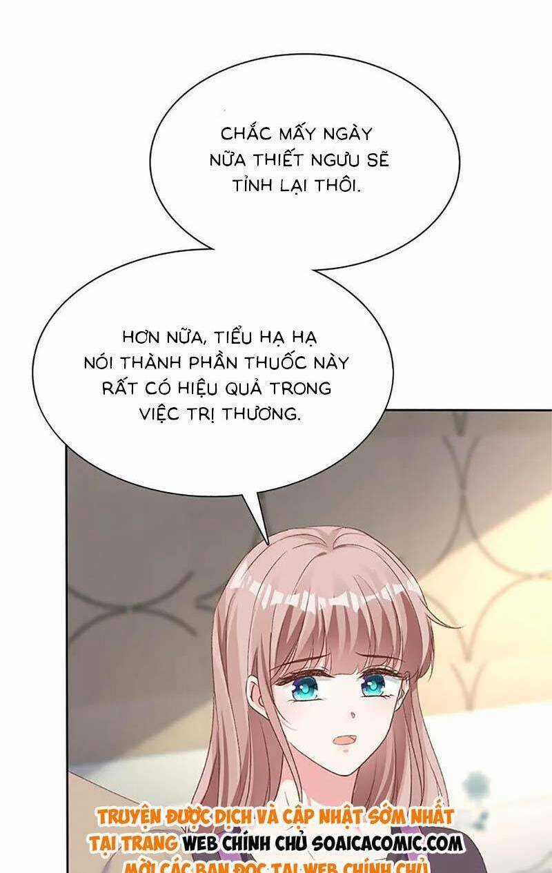 Băng Sơn Tổng Tài Sủng Thê Đến Vô Đạo Chapter 269 trang 9