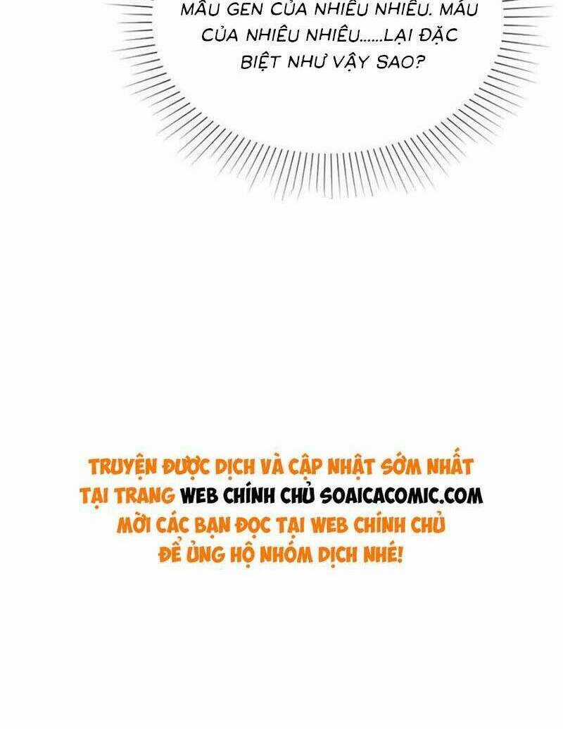 Băng Sơn Tổng Tài Sủng Thê Đến Vô Đạo Chapter 271 trang 35