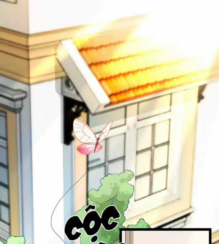 Băng Sơn Tổng Tài Sủng Thê Đến Vô Đạo Chapter 34 trang 0