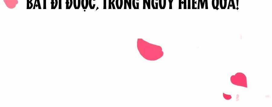 Băng Sơn Tổng Tài Sủng Thê Vô Độ Chapter 0 trang 12