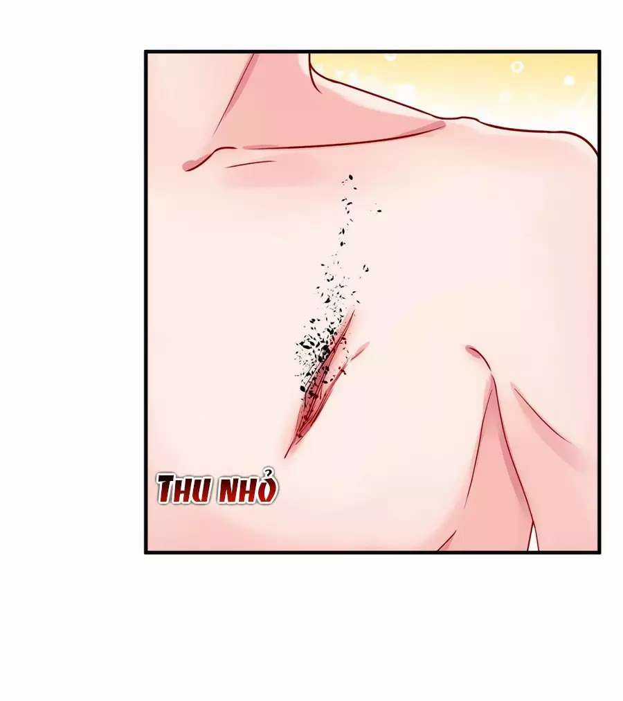 Băng Sơn Tổng Tài Sủng Thê Vô Độ Chapter 17 trang 1
